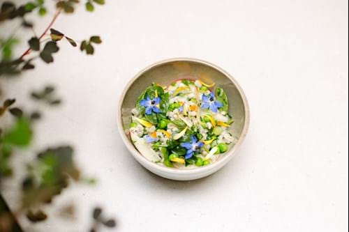en frisk byggrynssalat i en hvit skål som står på et hvitt bord med grønne planter i forgrunnen.